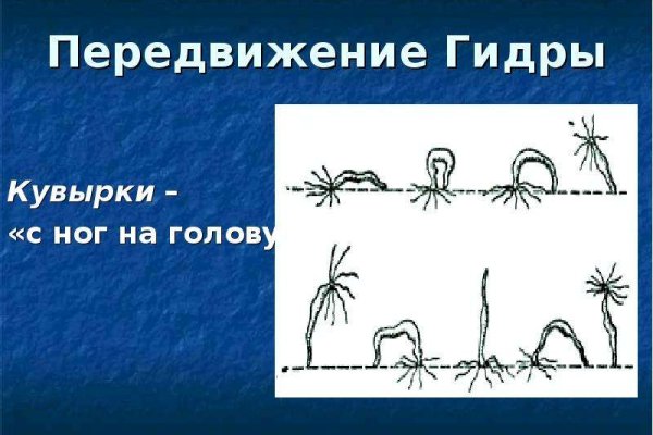 Кракен маркет даркент только через тор