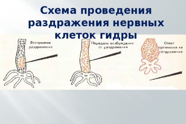 Официальный сайт kraken ссылки зеркала